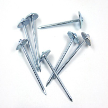 Galvanized  Smooth/Barbed Shank Umbrella Head Roofing Nail